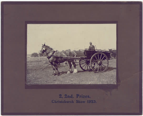2nd prize at the Christchurch Show, 1920