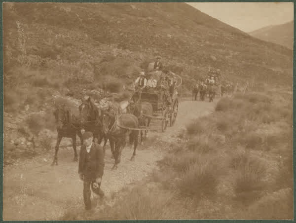 Horses and wagons, 1900