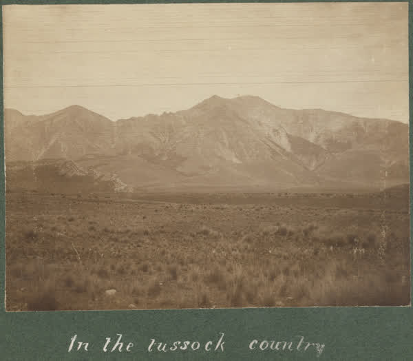 In the tussock country, 1900