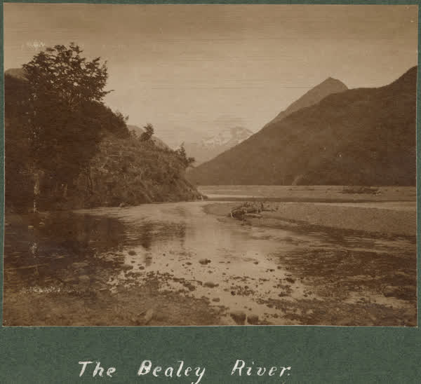 Bealey River, 1900