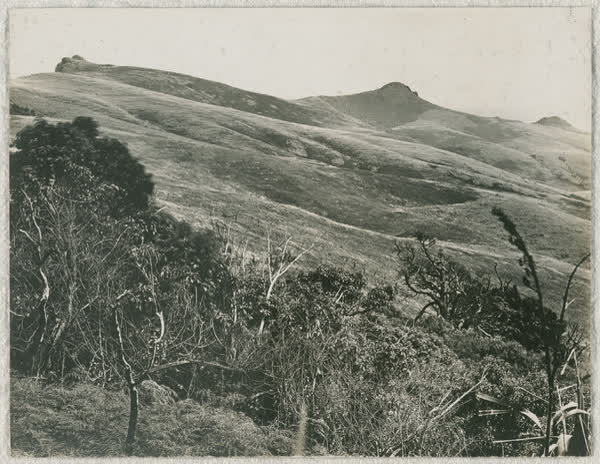 Coopers Knob from Kennedy's Bush, 1920