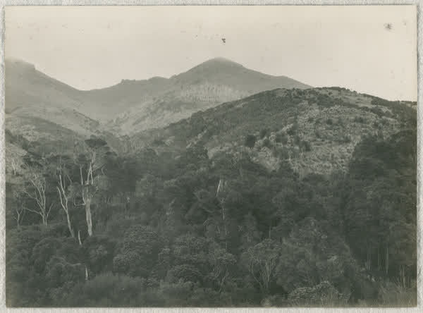 Coopers Knob, 1920