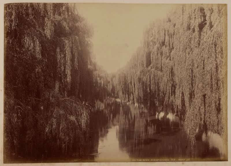 On the Avon, Christchurch, N. Z. From the album: New Zealand, 1892