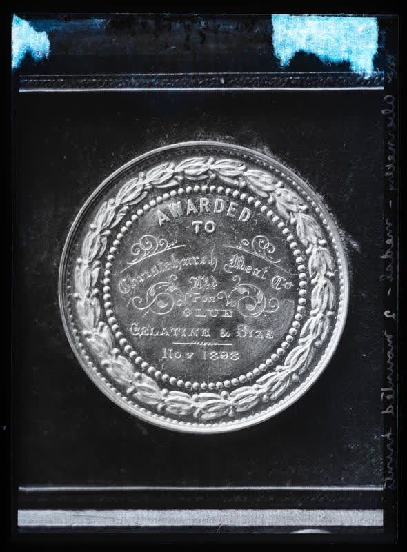 Glass Plate Negative: Medal, 1906