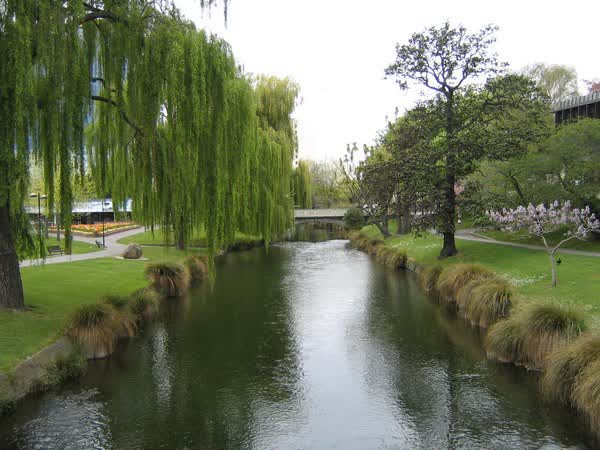 Armagh Street Bridge down the Avon River, 2004