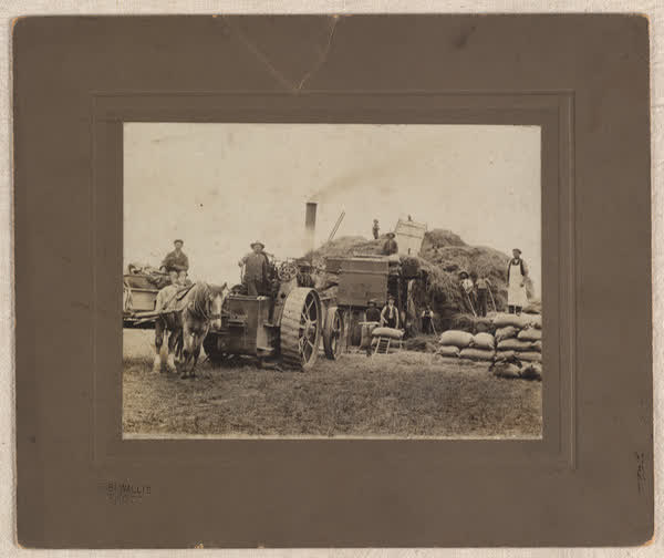 Stooking at Templeton, 1910