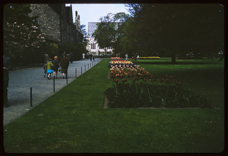 Botanic Gardens, Christchurch, 1950