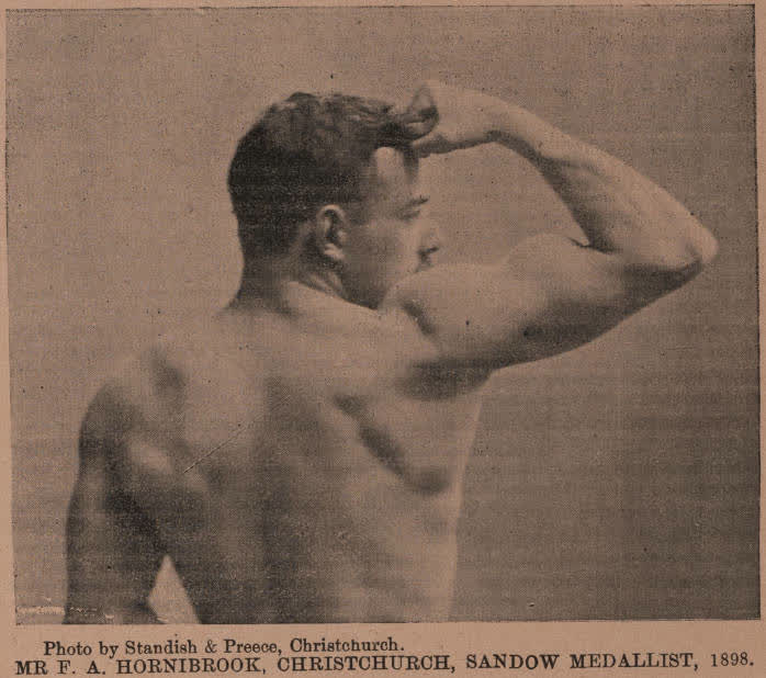 Mr F. A. Hornibrook, Christchurch, Sandow Medallist, 1898, 1901