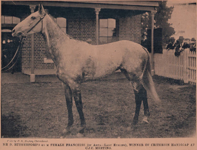 Female Franchise, 1898