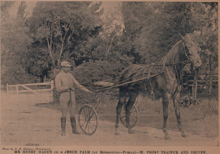 Jessie Palm, 1899