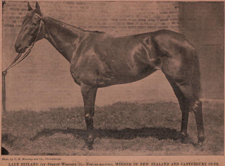 Lady Zetland, 1896
