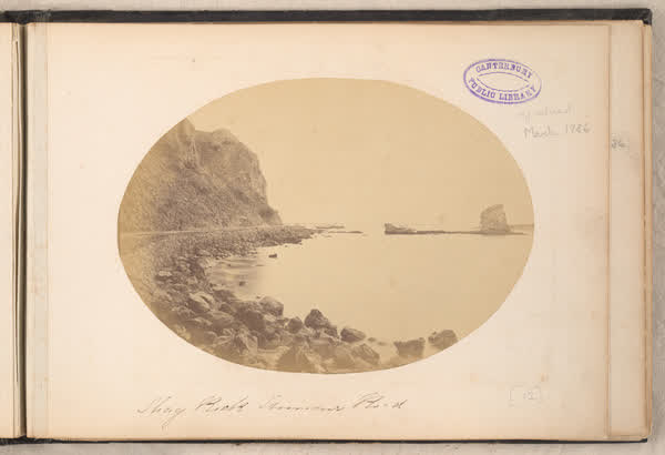 Shag Rock, 1858