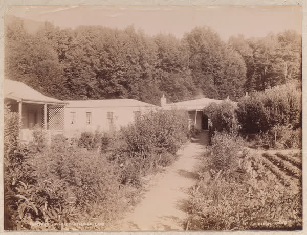 House at Diamond Lake, 1880