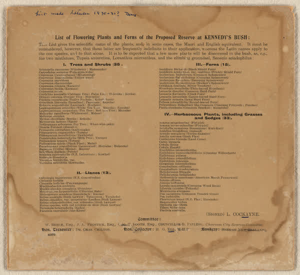 List of flowering plants and ferns of the proposed reserve at Kennedys Bush, 1930