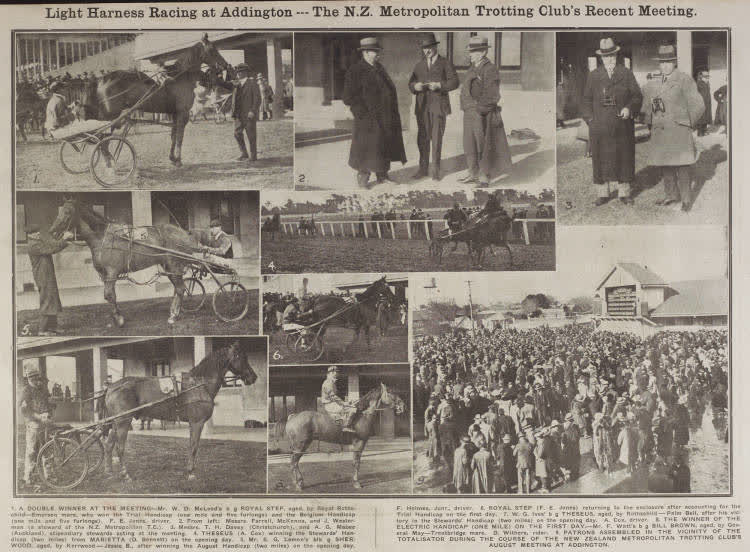 Light harness racing at Addington - The N.Z. Metropolitan Trotting Club's recent meeting, 1920