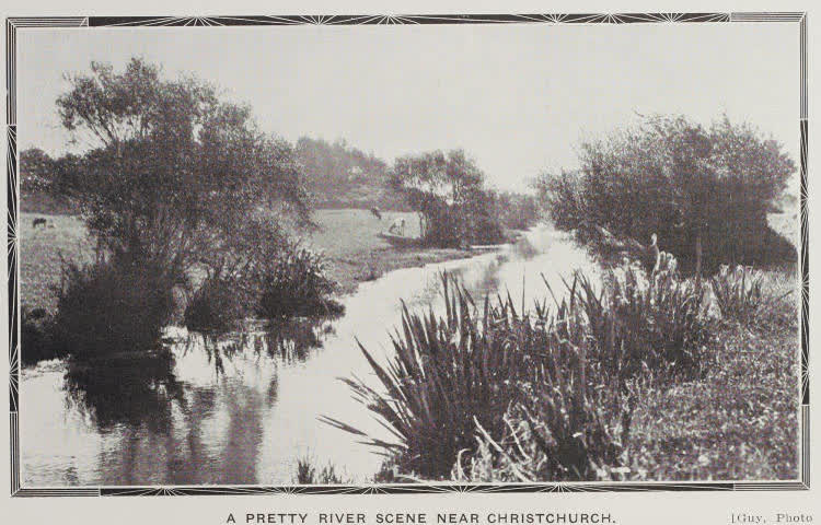 A pretty river scene near Christchurch, 1919