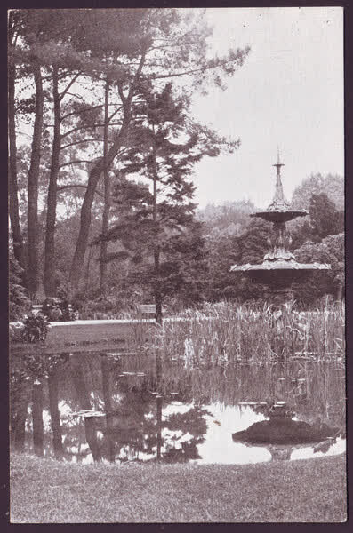 The Fountain, Botanic Gardens, Christchurch, 1900