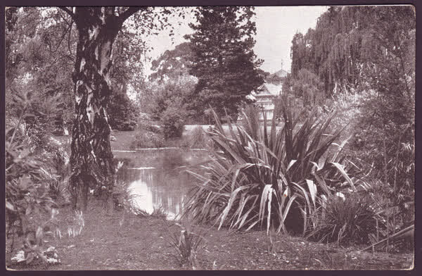 Lakelet, Botanic Gardens, Christchurch, 1900