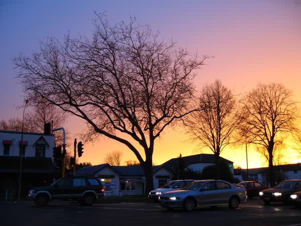 Bealey Avenue, 2006