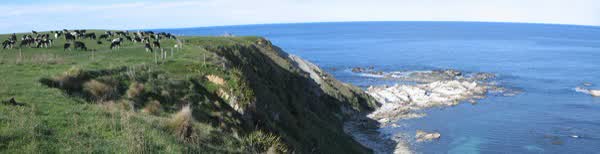 Kaikōura coastline, 2005