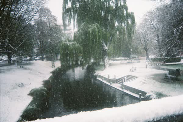 Falling snow on the banks of the Avon River, 2005