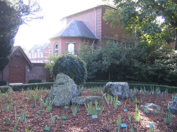 Christ’s College back gate into the Botanic Gardens, 2005