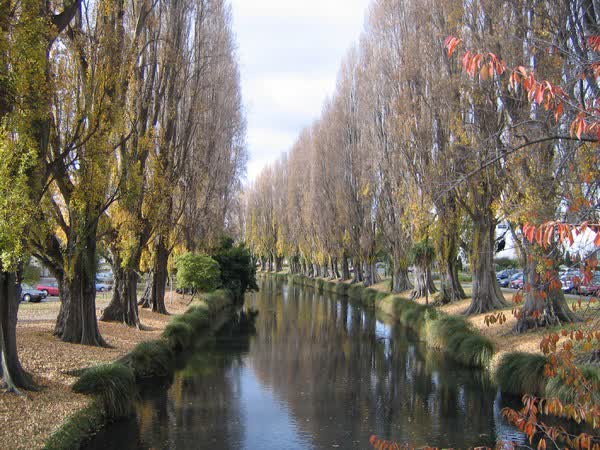 Avon River in autumn, 2005