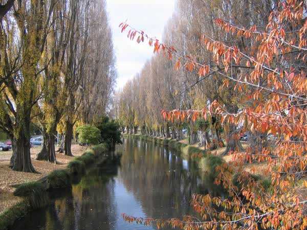 Avon River, 2005