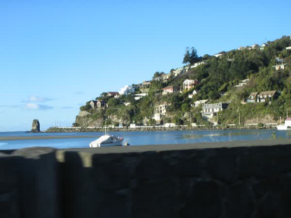 Moncks Bay, 2005