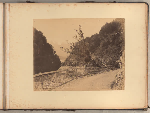 Otira Gorge1593. Otira Gorge W. Coast Road. Burton Bros. Dunedin, 1890