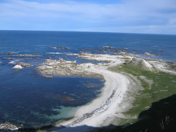 Rocky point at the head of a bay, 2005