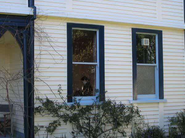 Through a window at The Old Convent, 2005