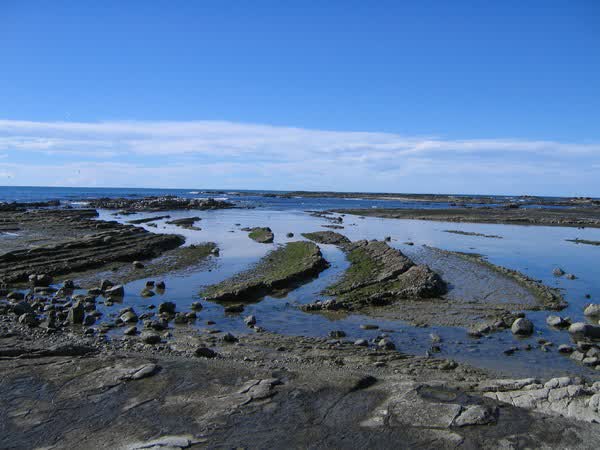 Rock reef on the Kaikōura coast, 2005