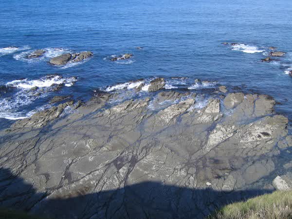 Rocky reef off Point Kean, 2005