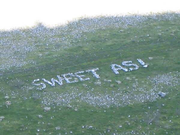 Beach rock art, 2005