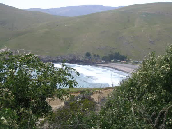 Taylors Mistake bay, 2005