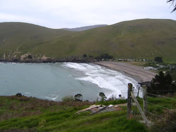 Taylors Mistake, 2005