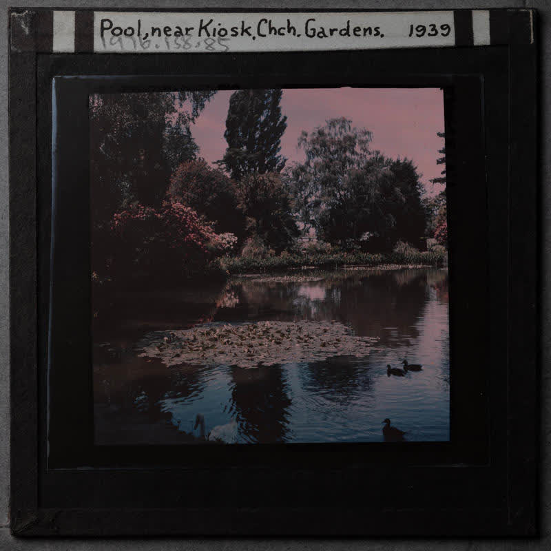 Lantern Slide: Pool at Botanic Gardens, 1939