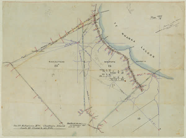 Sec. 20 Kekerione No. 1.Archive 132, Series 10/1/3, 1884