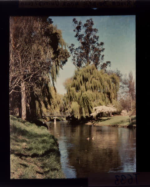 Botanic Gardens footbridge, 1952