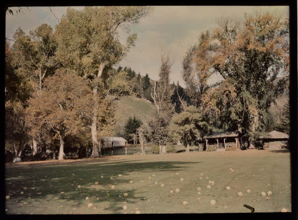 The Valley of Peace cricket ground, 1950