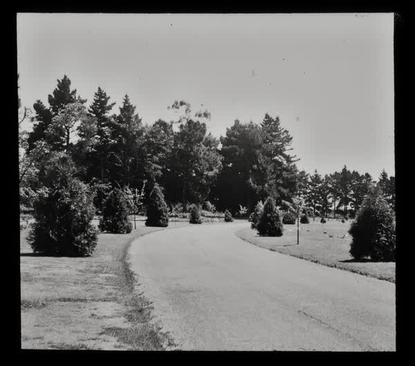 Road through a cemetery, 1948