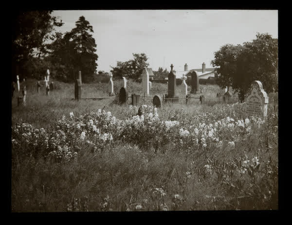Overgrown cemetery, 1945
