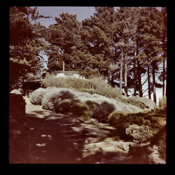 Victoria Park Pavilion, 1950