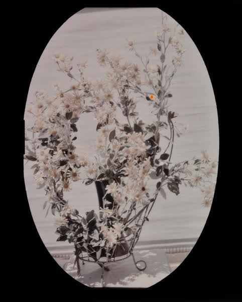 Flower display, 1938