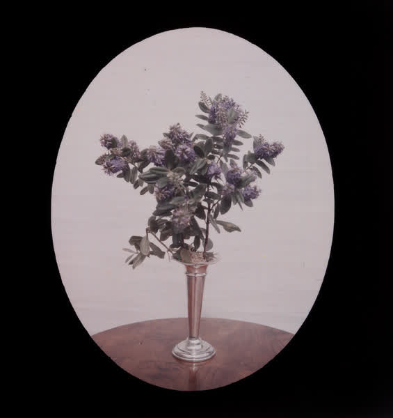 Flower cutting in a vase, 1938