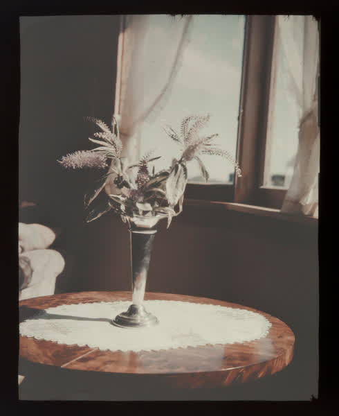 Small cutting in a silver vase, 1938