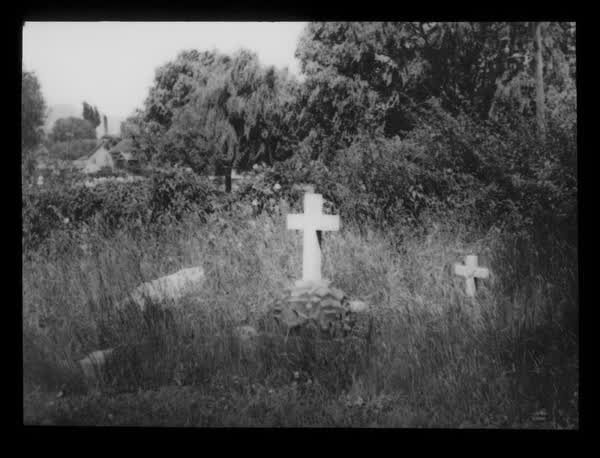 Headstones amongst vegetation, 1945
