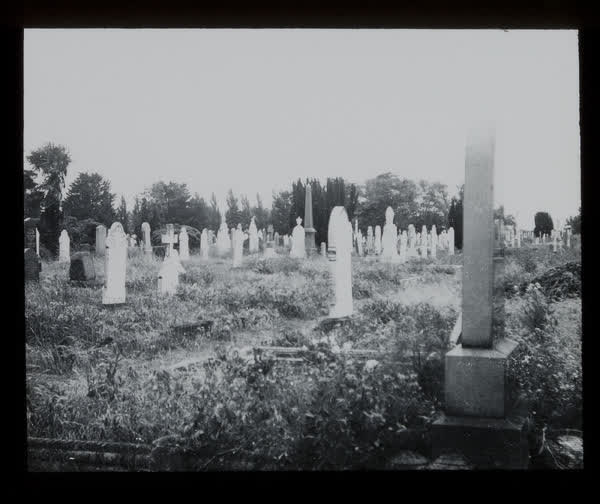 Weed covered grave sites, 1945