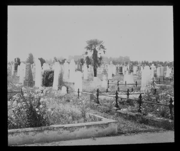 Overgrown graves, 1945